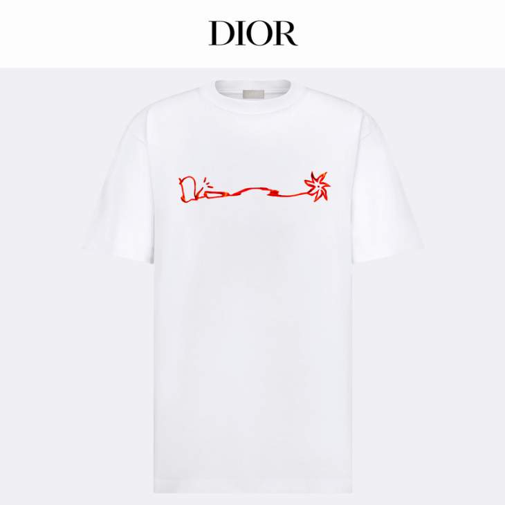 Picture of Dior T Shirts Short _SKUDiorXS-Lxetr8015400